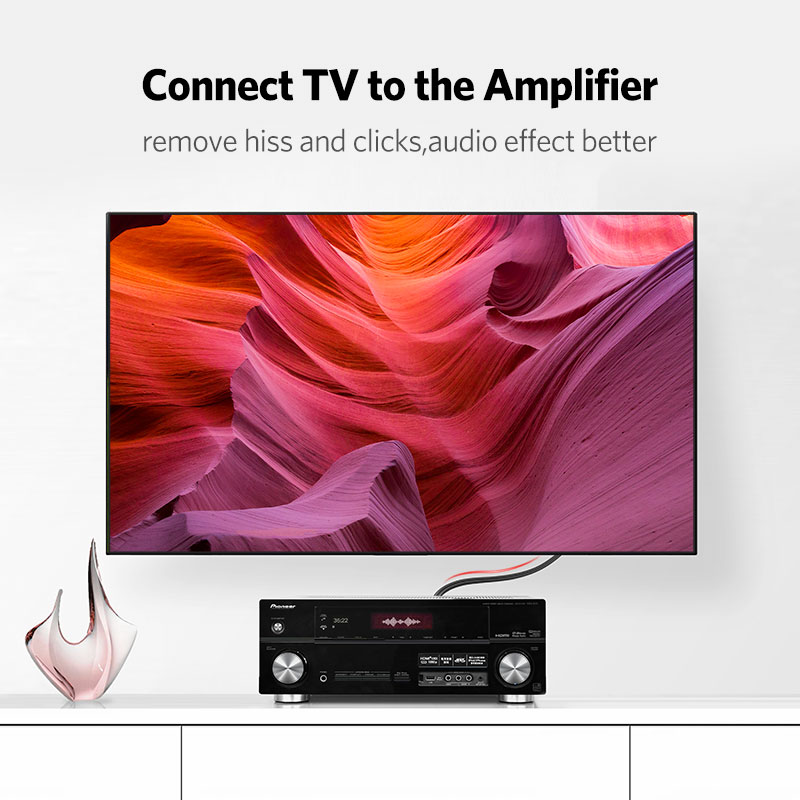 UGREEN 2RCA to 2 RCA Male to M - Home Cinema Hall ulasan dan harga