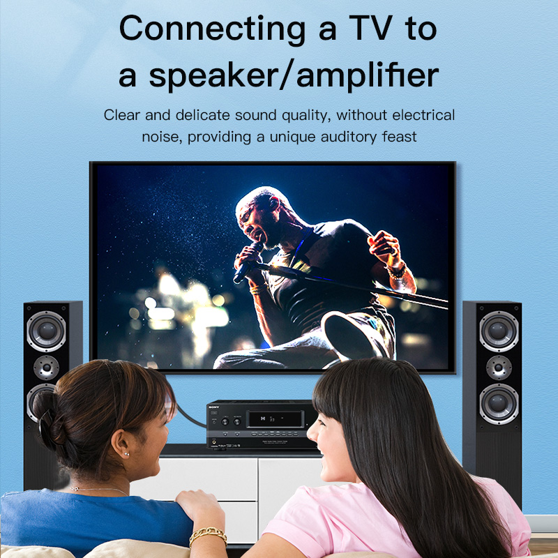 CHOSEAL RCA Cable Digital Coax - Home Cinema Hall ulasan dan harga